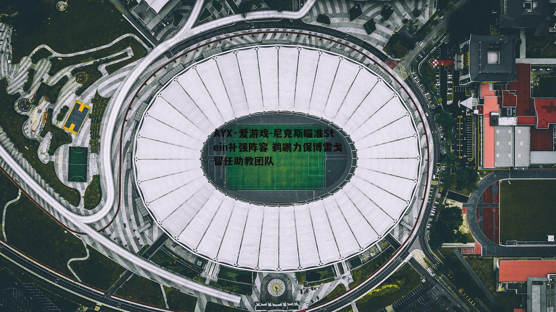AYX·爱游戏-尼克斯瞄准Stein补强阵容 鹈鹕力保博雷戈留任助教团队-第1张图片-AYX·爱游戏